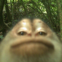 avatar 𝘏𝘢𝘭𝘰