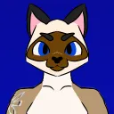 thesiamesecat64