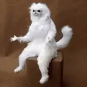 madddees