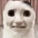 avatar ᲼᲼᲼᲼᲼᲼᲼᲼᲼᲼