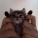 smaikuu