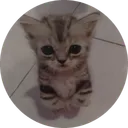 .sathwik