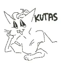 zoe_the_oriental_cat