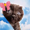 avatar A m e t h y s t🎃