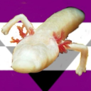 avatar Minedude209