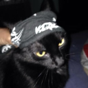 Discord Avatar