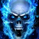 coolskel5543