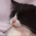 whomstsbackupaccount