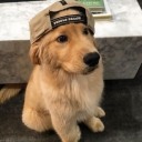 avatar ▄︻デcaptain══━一