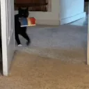 arskaaaa
