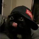 mirda_