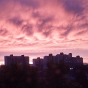 anasuri#5207's avatar