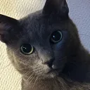 fnoji