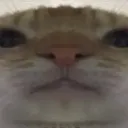 pablothecat2121