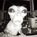 zombifiedgaming avatar