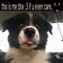 micthecritter