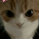 avatar ♡ 𝒏𝒂𝒕𝒂𝒍𝒌𝒂