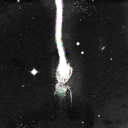 CurseForge profile picture for @lvf