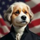 dogusjefferson