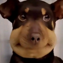 poppablesxx's Avatar