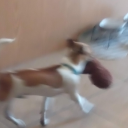 mariah carey hater ❤