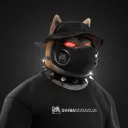 coinmaven