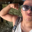 flexys__