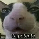 stefan7083