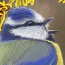 schombert