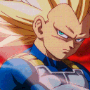 _zvegeta