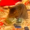 avatar Dev_Spectr4ll