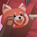 hakuvt