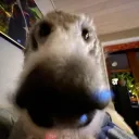 esseren