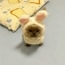 dyz_faes#5945's avatar