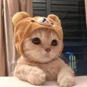_zoriiiaaa