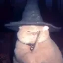 bojlwebctbo