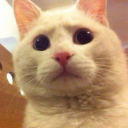 myoungsoo#5084's avatar