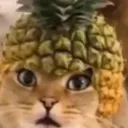 mr.pineapplepro avatar