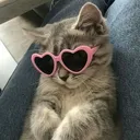 hellaxy_