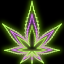 avatar ʇᴉɹq