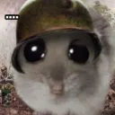 il_kevin.