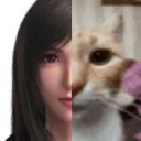 fleurnikki