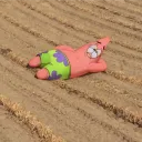 tyjoeroll