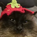 munchie666