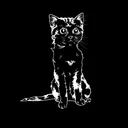 realakim.neocities.org