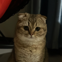 Discord Avatar