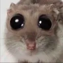 Аватар brodyaga5825