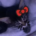 mxgified