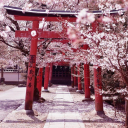 avatar 𝓙𝓾𝓼𝓽𝓩𝓮𝓮𝓐𝓵𝓮𝔁☆彡