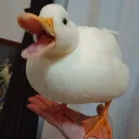 duckfat3207